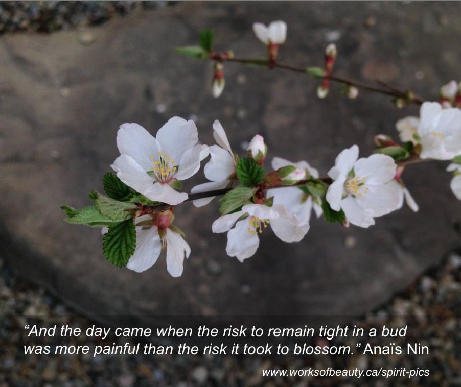 Picture of a blossom with quote