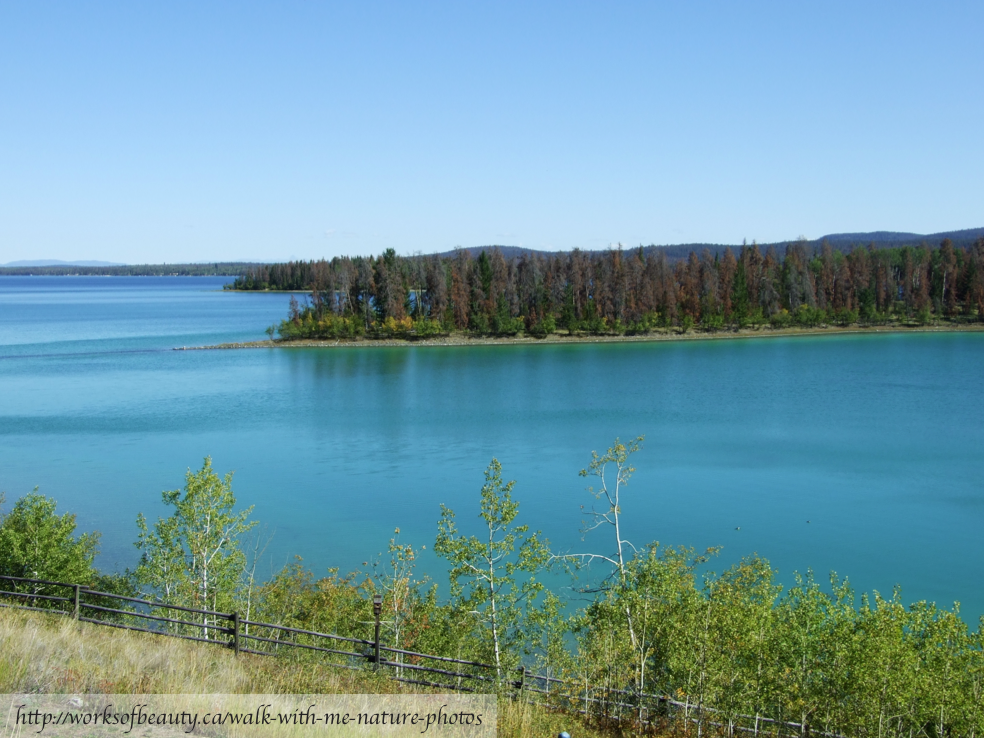 Picture of Green Lake British Columbia