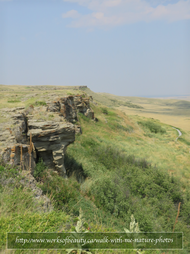 Picture of head smashed in buffalo jump