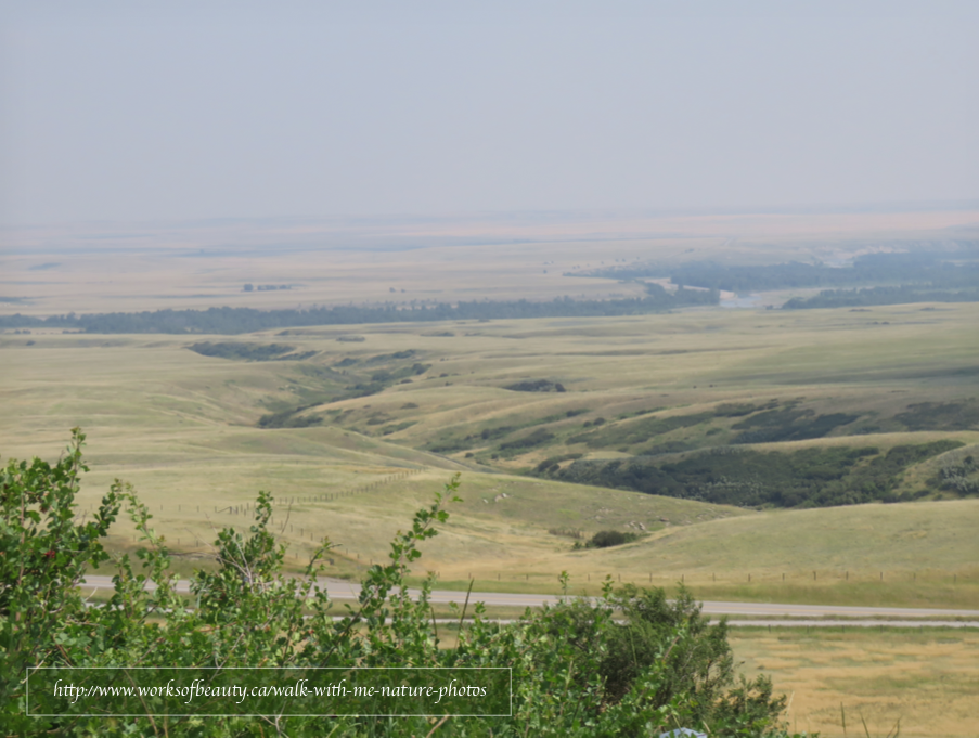 Picture of Head Smashed in Buffalo Jump