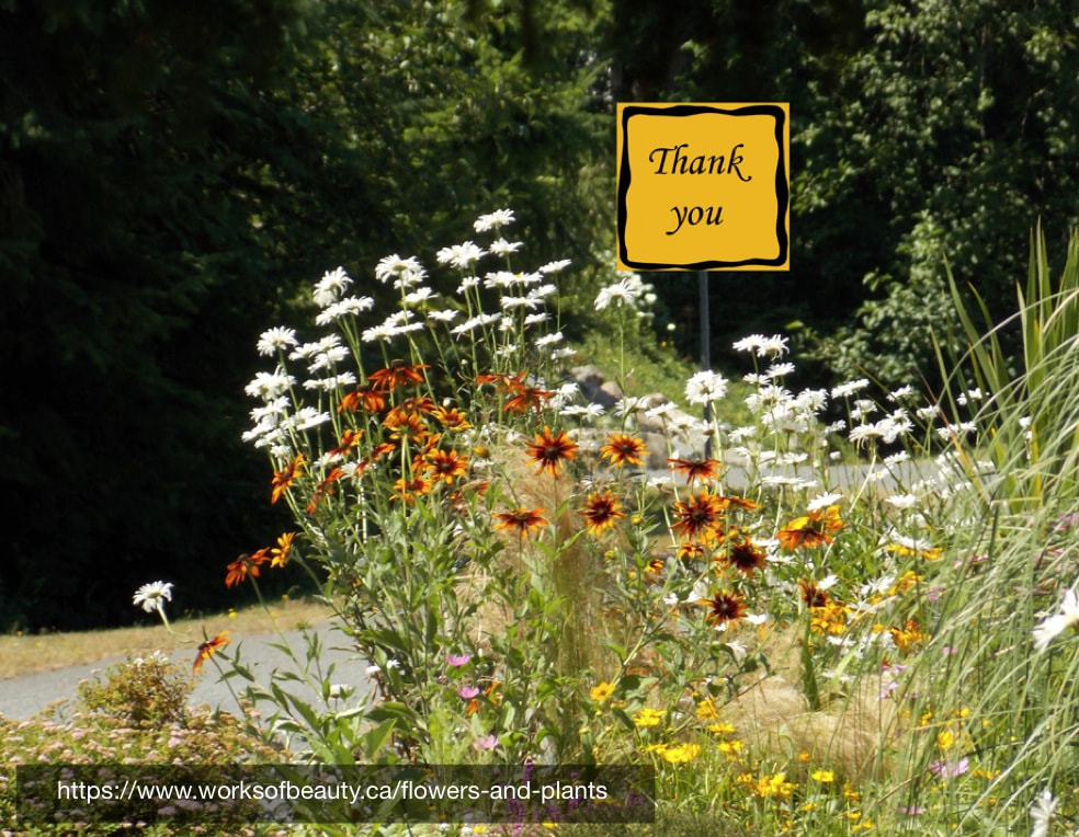 Picture of flowers and thank you sign