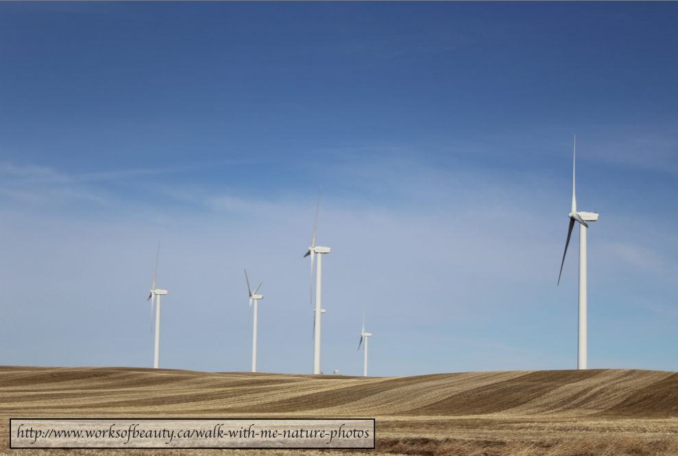 Picture of white windmills and blue sky